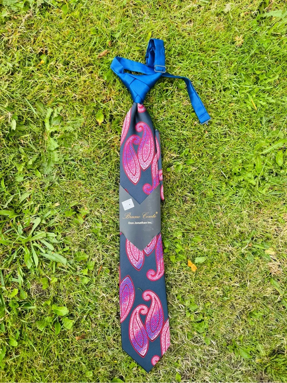 Blue and Red Paisley Tie